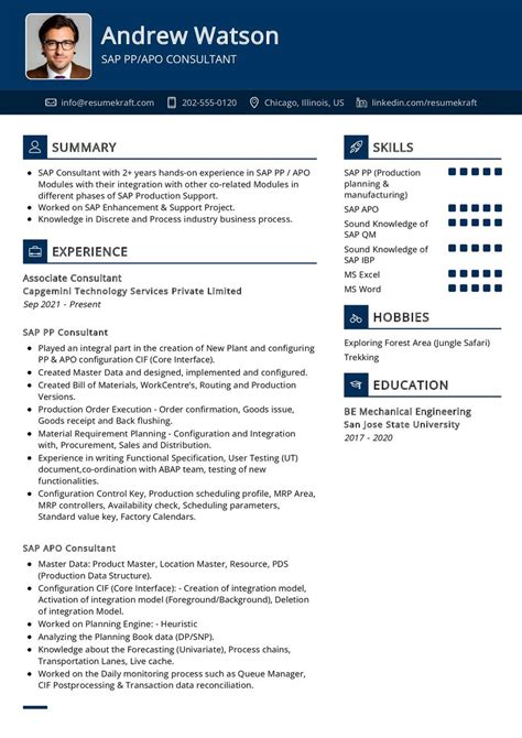 sap apo consultant resume