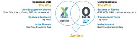 Sap Bought Qualtrics
