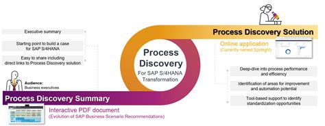 sap business process discovery report