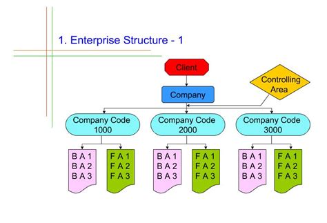 sap company code structure