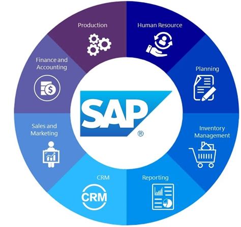 sap erp system consulting