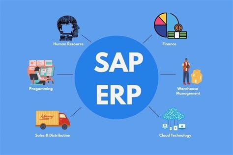 sap erp systems examples