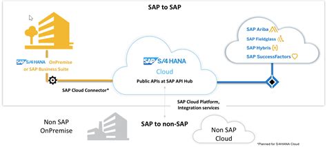 sap hana cloud api