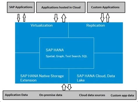 sap hana cloud version