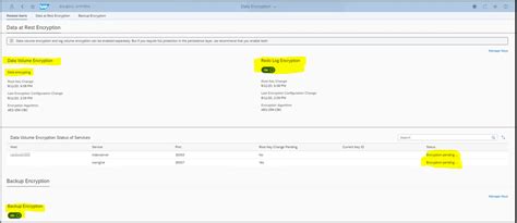 sap hana database encryption