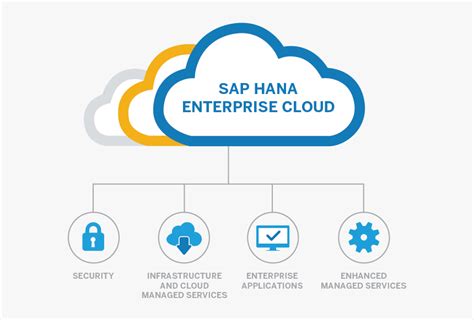 sap hana enterprise cloud partners