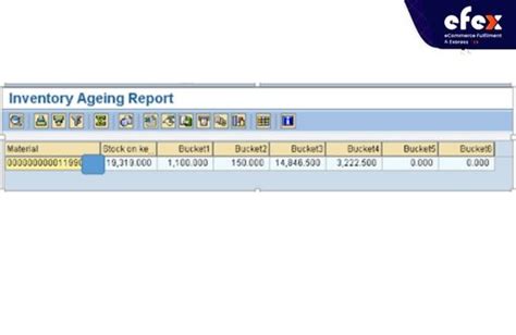sap inventory aging report tcode