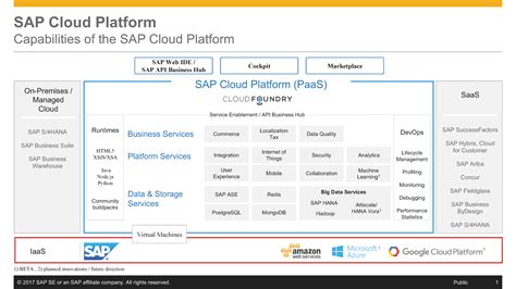 sap managed cloud platform