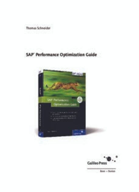 sap performance optimization guide pdf