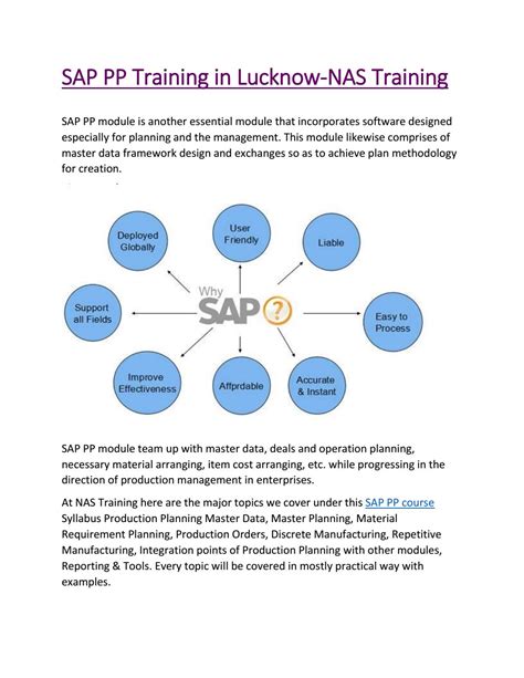 sap pp training free