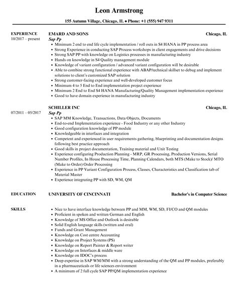 sap professional resume format