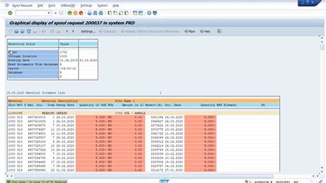 sap report example