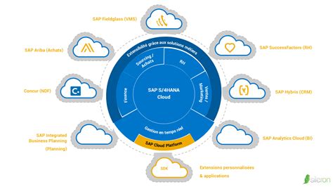sap se government cloud software benefits