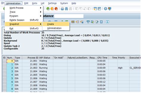 Sap Snapshot Transaction