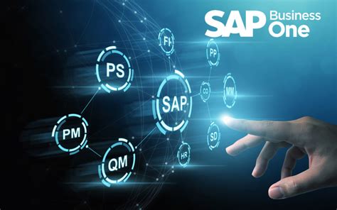 sap software solutions business