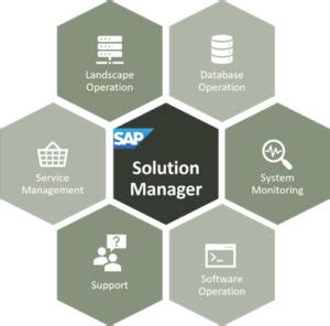 sap solution manager pdf