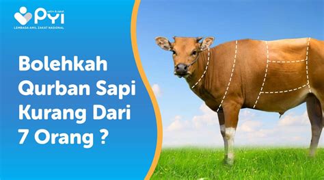 Jual Hewan Qurban Beli sapi qurban gratis potong