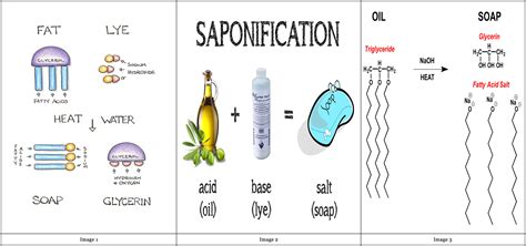 saponification