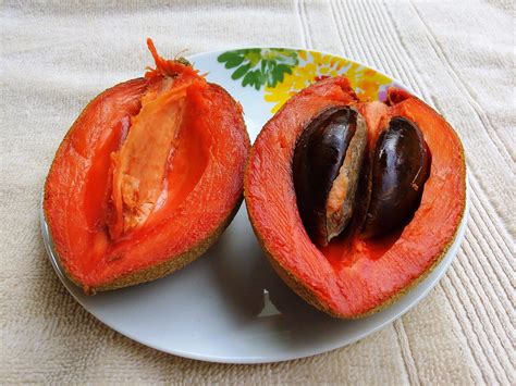 sapote