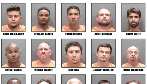 sarasota recent arrests
