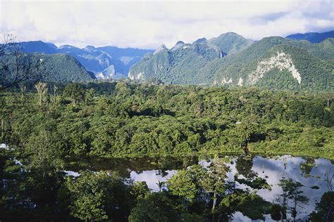 Sarawak Rainforest