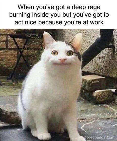 Latest sarcastic memes about life image QuotesBae