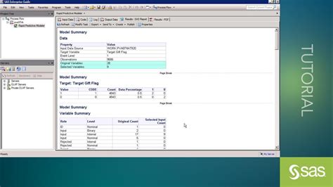 Sas Enterprise Miner Variable Roles