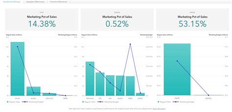sas visual analytics dashboard examples
