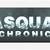 sasquatch chronicles login