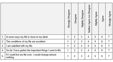Satisfaction With Life Scale
