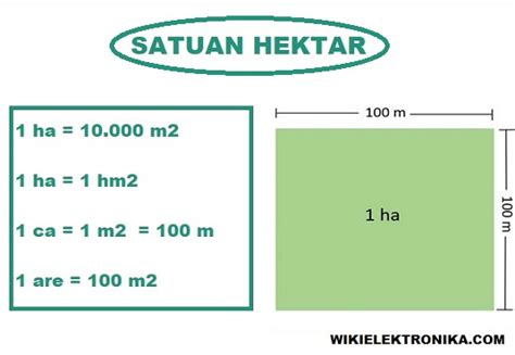Convert Satu Hektar to Meters in Indonesia: Understanding Land Measurements