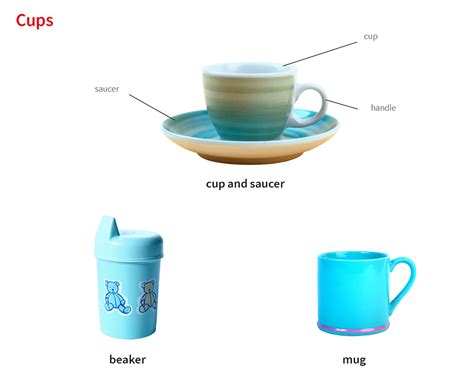 Saucer Dish Synonym