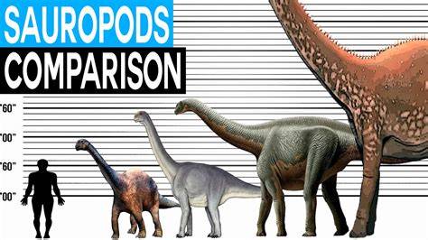 Sauropod Size Comparison