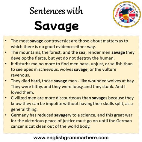 savage meaning in english with example sentence