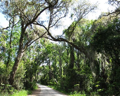 Savannah Running and Hiking Our Favorite Savannah Trails