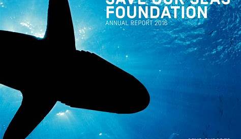Save Our Seas | 05 | Summer 2016 by Save Our Seas Foundation - issuu