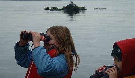 Save the Bay hosts seal tours this weekend | EastBayRI.com - News