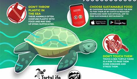 Vynarius's Viewpoint: Save the Sea Turtle T-shirt Campaign!