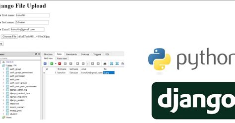 Save File To Database Django