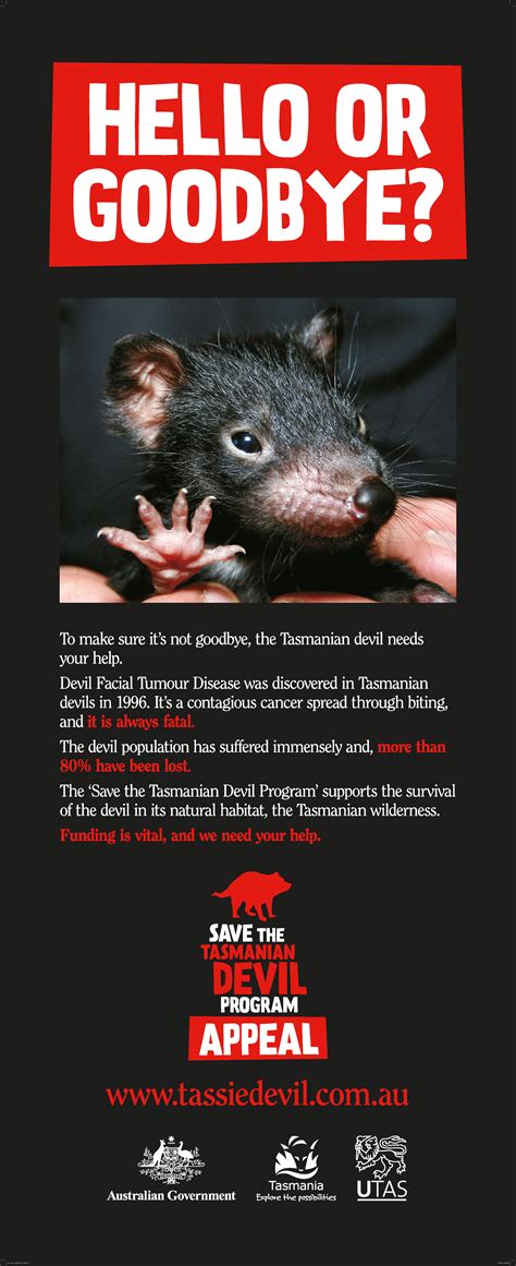 save the tasmanian devil appeal