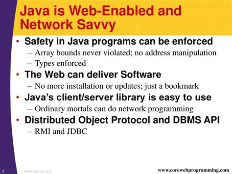 savvy java