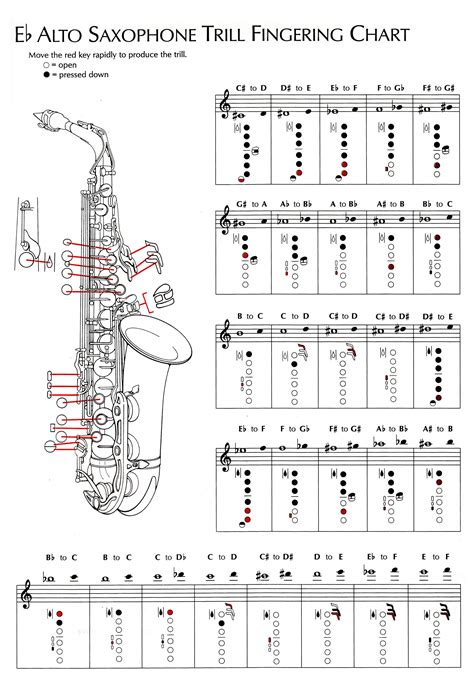 Saxophone Baritone Notes