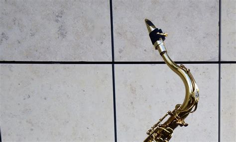 Saxophone Double Reed