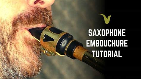 Saxophone Embouchure Example