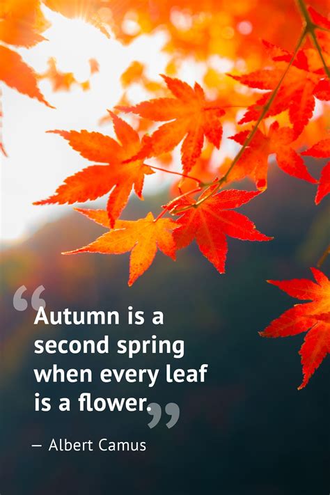 saying about fall leaves