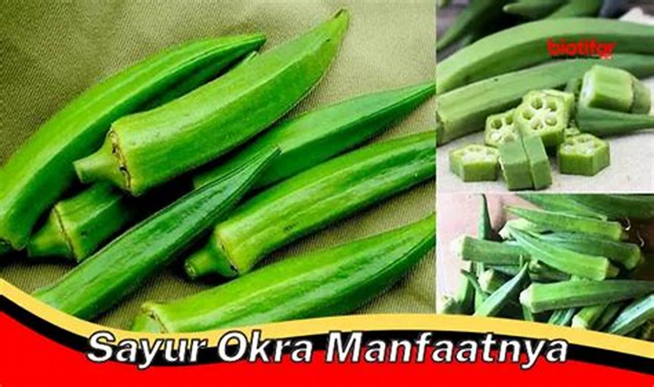 Temukan Manfaat Sayur Okra yang Jarang Diketahui