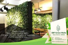 sbf green walls