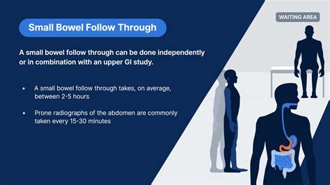 sbft test for small bowel