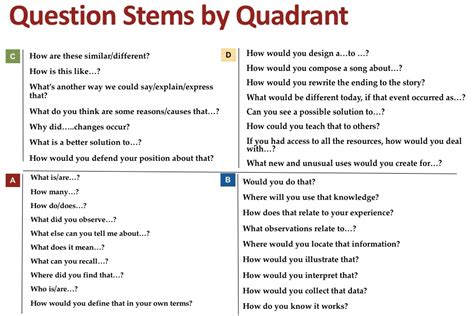 Scaffold Questions Example