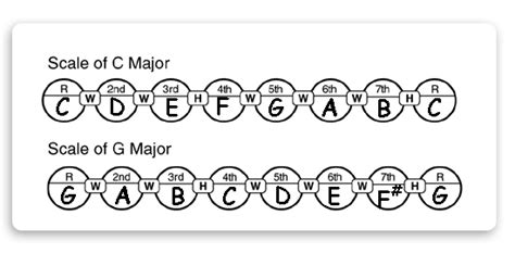 Scale Construction Major